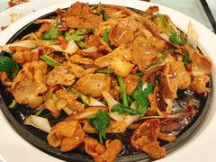 -鸭匠食府·挂炉烤鸭·新京菜(阜成路店)