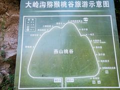 -大岭沟猕猴桃谷风景区