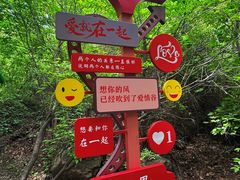 -红崖峡谷景区