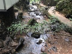 -藏龙百瀑风景区