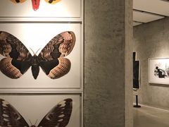 -北京三里屯CHAO酒店