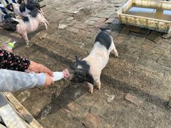 -湖南湘都生态农业园