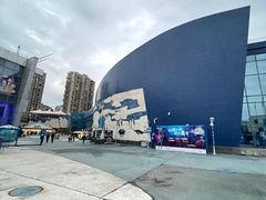 -西安曲江海洋极地公园