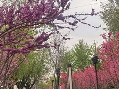 -西海子公园