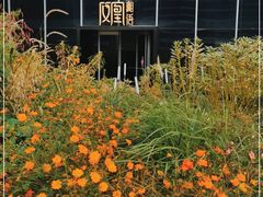 -凤凰湘语·湘粤鲜融(浦东旗舰店)