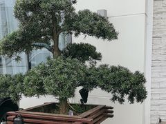 -上座云间·青年赣菜(绿茵店)