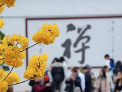 -光孝寺