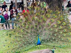 -太平洋海底世界