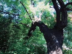 -济南国际园博园