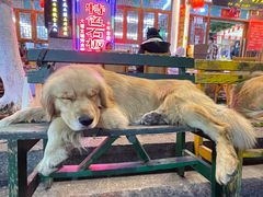 -八木轩·寻味大理白族民俗餐厅(文献路店)