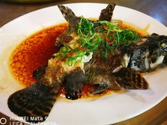 -百年银屏蚝烙·潮汕菜·非遗(乐山店)