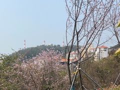 -小南山公园
