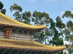 -广东圆玄道观