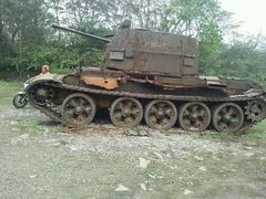 -铁山坪森林公园