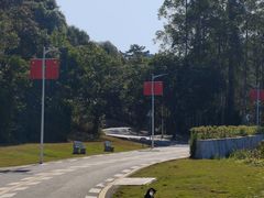 -黄埔油麻山森林公园