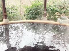 -天目湖涵田半山温泉