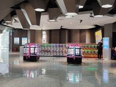 -星河寰宇IMAX影城(星河WORLD·COCO Park店)