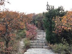 -北京西山国家森林公园