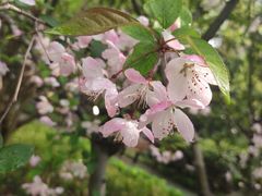 -华山儿童公园