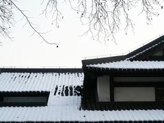 -西湖游船