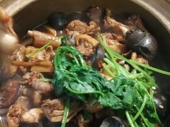招牌必点-田螺鸡煲-食爺炭炉鸡煲·烧烤