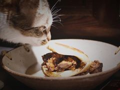 烧饼夹肘子-傅记酱肉