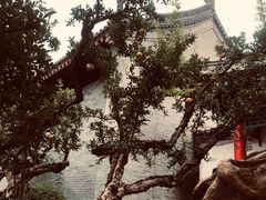-《12·12》西安事变大型实景演出