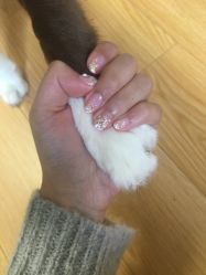 -LEILEI NAIL蕾蕾美甲美睫