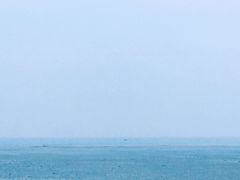 -碧海金沙