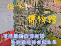 -猫咪博物馆(顶澳仔猫街店)