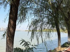 -艾溪湖湿地公园