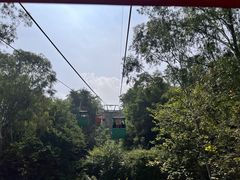 -攀枝花公园