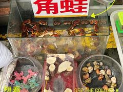 -青石桥花鸟鱼虫市场(叠翠城店)