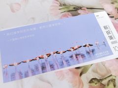 -BLACKSWAN黑天鹅(环球店)