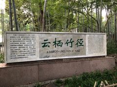 -西湖风景区十里琅珰-五云山