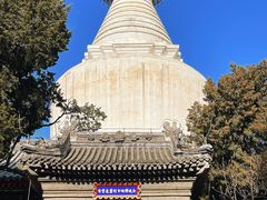-妙应寺白塔