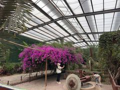 -呀路古热带植物园