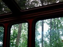 -合肥滨湖国家森林公园