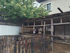 -清风小镇闯关东影视基地