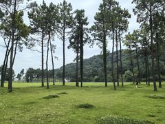 -柯岩风景区