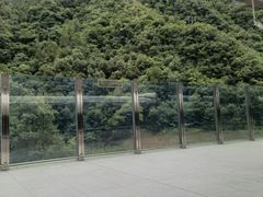 -神农架景区