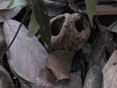 -南京市江宁方山