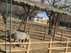 -西安秦岭野生动物园