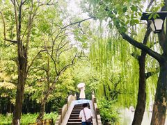 -乌镇东栅景区