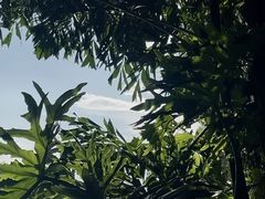 -荔湾湖公园