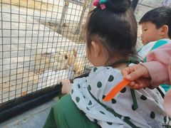 -石家庄市动物园