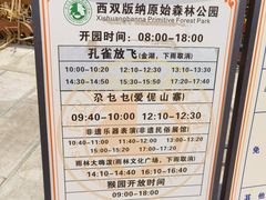 -西双版纳原始森林公园