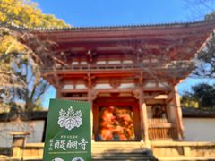 -醍醐寺