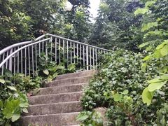 -人民公园(罗湖区)