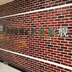 -变美丽半永久纹眉连锁·机器野生眉·洗眉